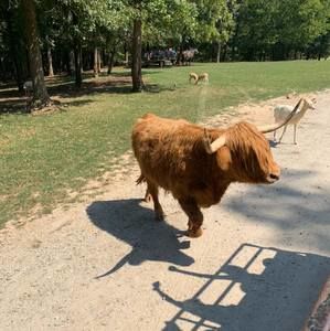 Meet your Posher, Bernardo